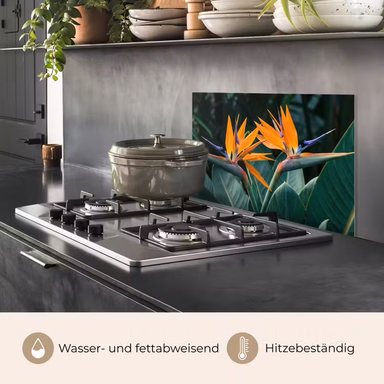 Paradijsvogel - Bloem - Exotisch keuken achterwand spatscherm klein -usp_DE