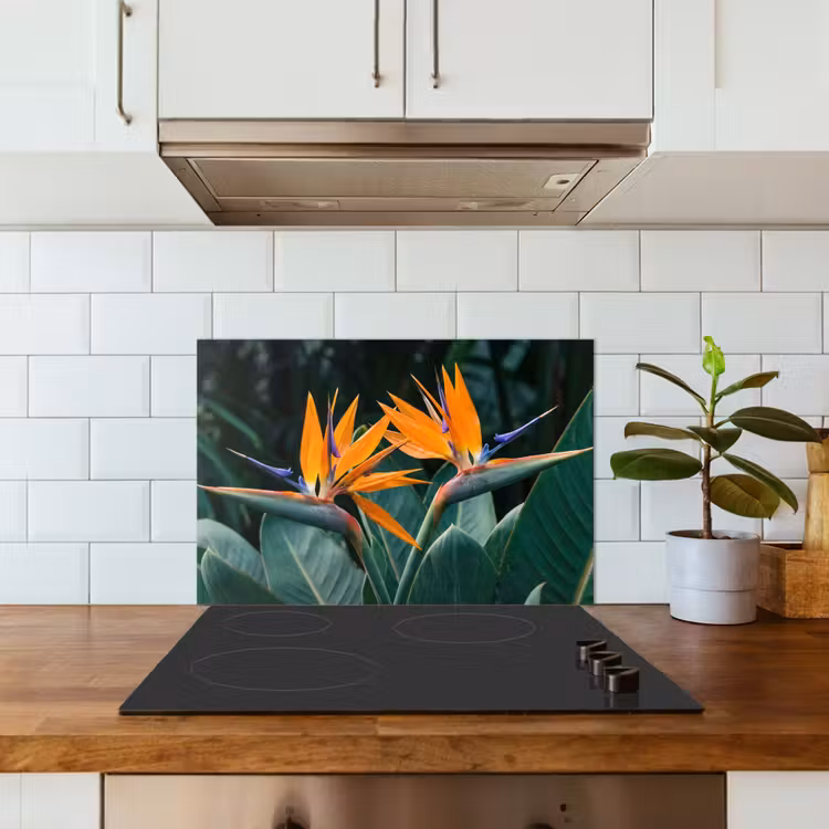 Paradijsvogel - Bloem - Exotisch keuken achterwand spatscherm klein -sfeer2