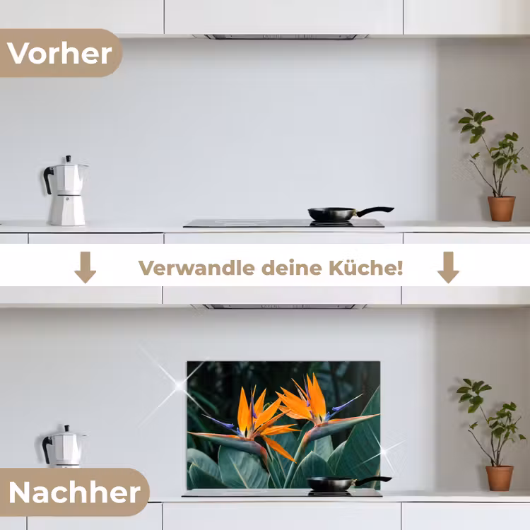 Paradijsvogel - Bloem - Exotisch keuken achterwand spatscherm klein -voor_na_DE