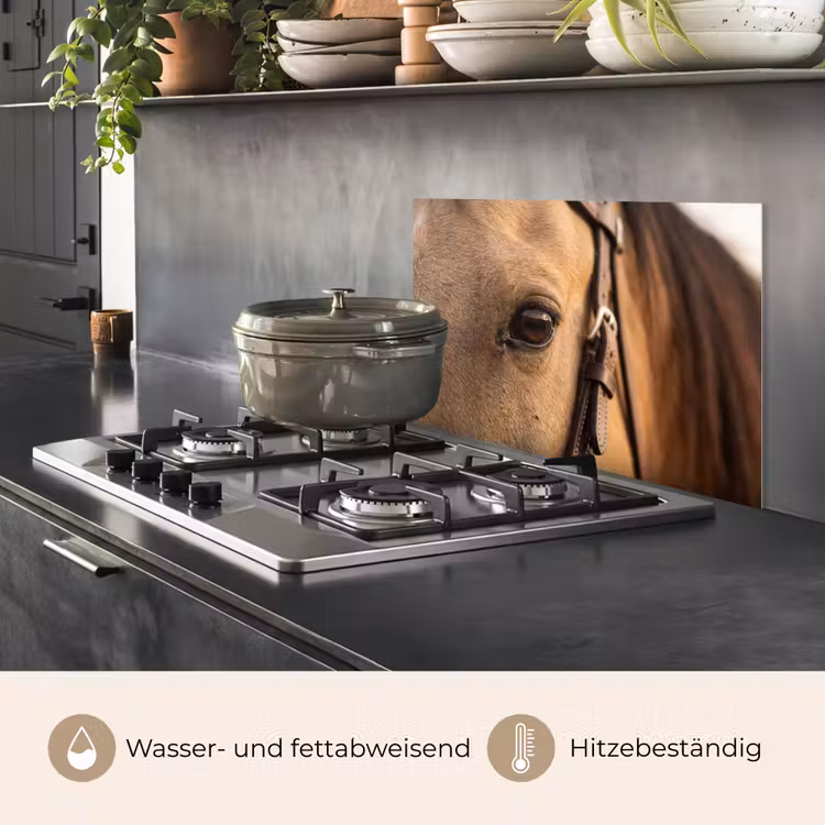 Paard - Oog - Bruin keuken achterwand spatscherm klein -usp_DE