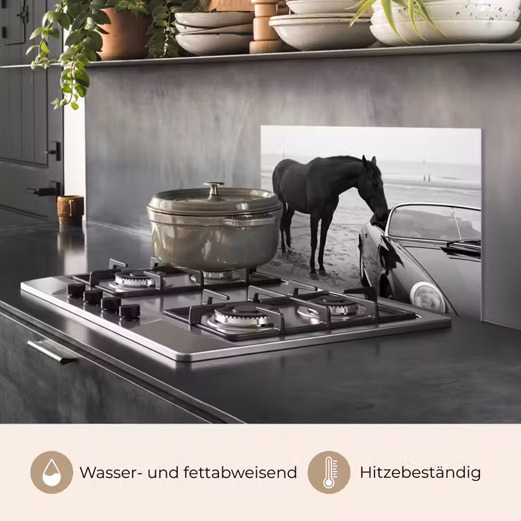 Paard - Auto - Zwart - Wit keuken achterwand spatscherm klein -usp_DE