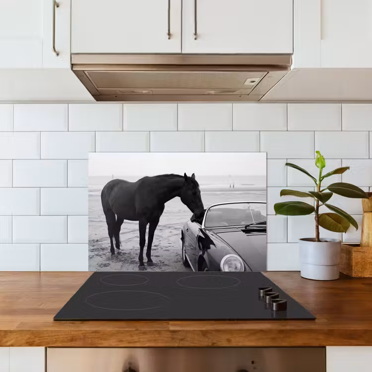 Paard - Auto - Zwart - Wit keuken achterwand spatscherm klein -sfeer2