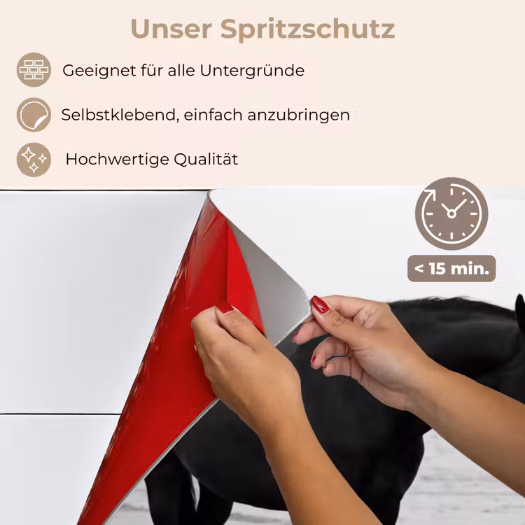 Paard - Auto - Zwart - Wit keuken achterwand spatscherm klein -spatscherm_DE