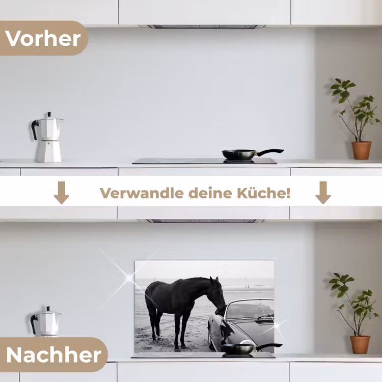 Paard - Auto - Zwart - Wit keuken achterwand spatscherm klein -voor_na_DE