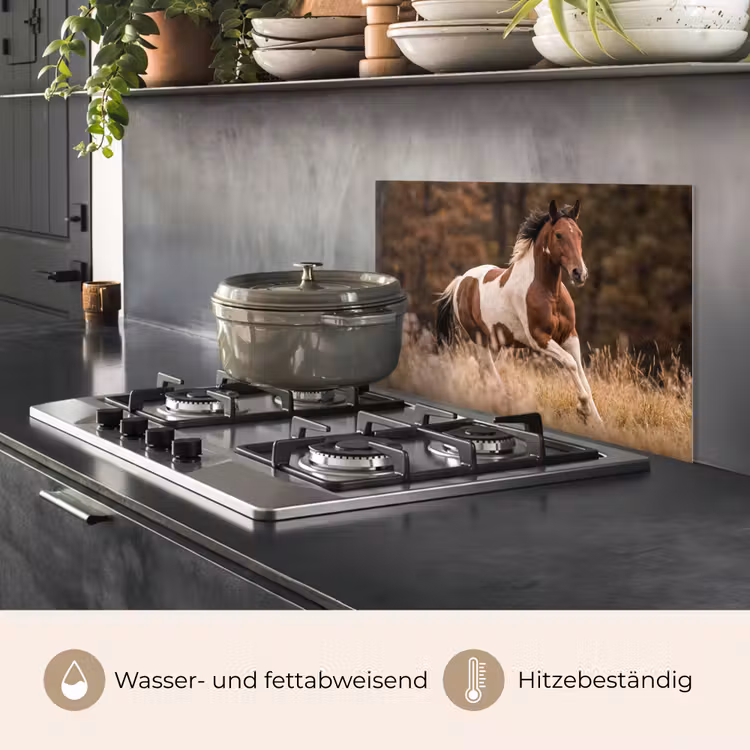 Paard - Bruin - Gras keuken achterwand spatscherm klein -usp_DE
