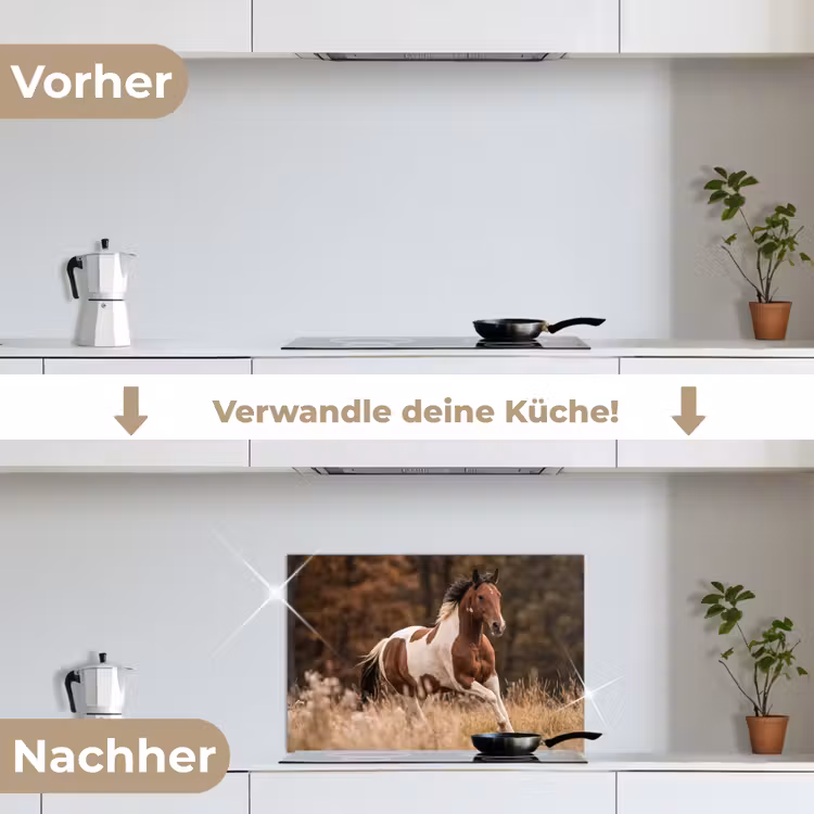 Paard - Bruin - Gras keuken achterwand spatscherm klein -voor_na_DE