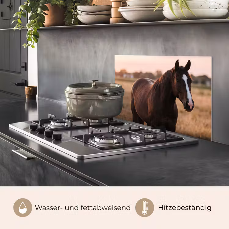 Paard - Zonsondergang - Bruin keuken achterwand spatscherm klein -usp_DE