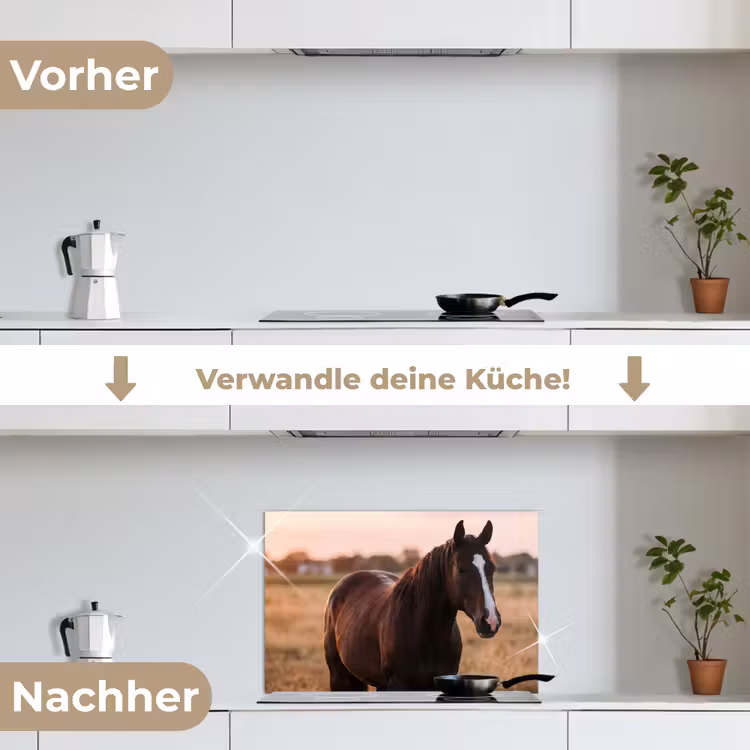 Paard - Zonsondergang - Bruin keuken achterwand spatscherm klein -voor_na_DE