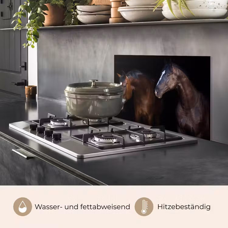 Paard - Dieren - Zwart keuken achterwand spatscherm klein -usp_DE