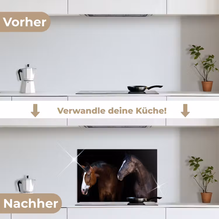 Paard - Dieren - Zwart keuken achterwand spatscherm klein -voor_na_DE