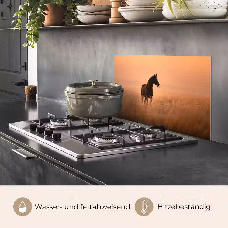 Paard - Grasveld - Zonsondergang keuken achterwand spatscherm klein -usp_DE