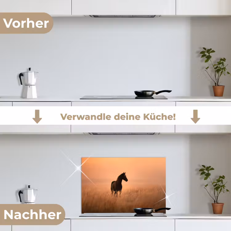 Paard - Grasveld - Zonsondergang keuken achterwand spatscherm klein -voor_na_DE