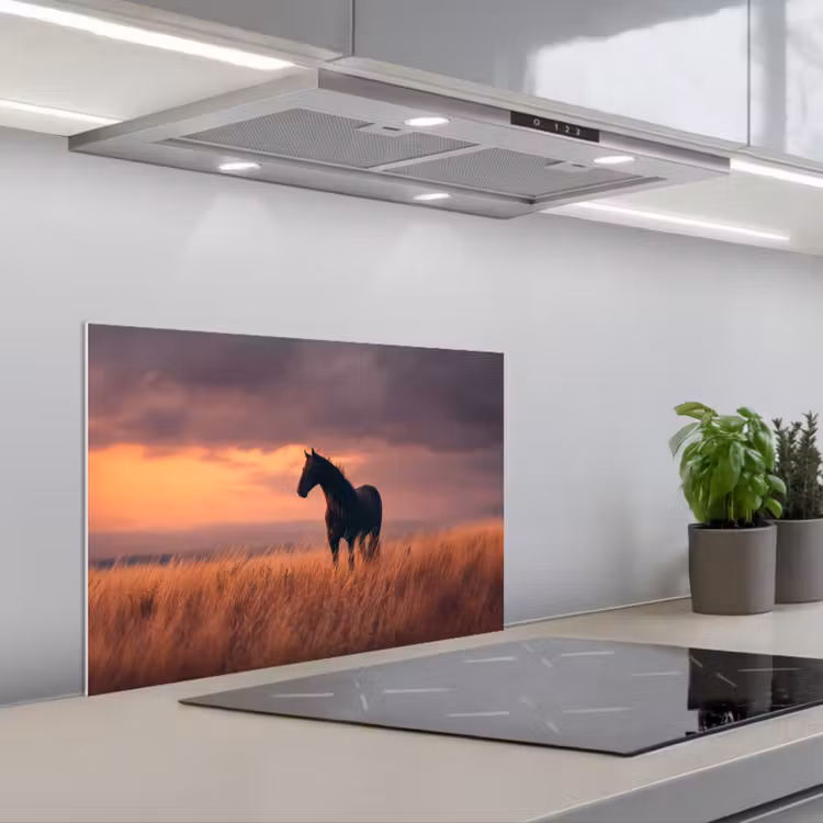 Paard - Wolken - Open veld keuken achterwand spatscherm klein -3d_schuin
