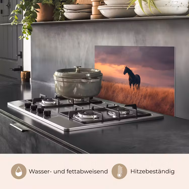 Paard - Wolken - Open veld keuken achterwand spatscherm klein -usp_DE