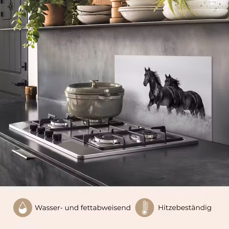 Paarden - Gras - Zwart - Wit keuken achterwand spatscherm klein -usp_DE