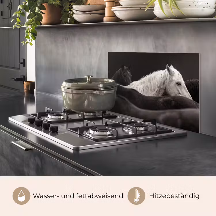 Paarden - Zwart - Wit - Kudde keuken achterwand spatscherm klein -usp_DE