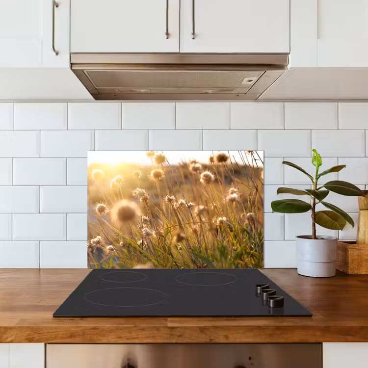 Planten - Natuur - Bloemen - Zon - Horizon keuken achterwand spatscherm klein -sfeer2