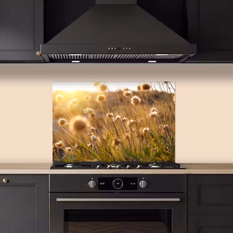 Planten - Natuur - Bloemen - Zon - Horizon keuken achterwand spatscherm klein -sfeer1