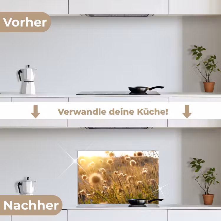 Planten - Natuur - Bloemen - Zon - Horizon keuken achterwand spatscherm klein -voor_na_DE