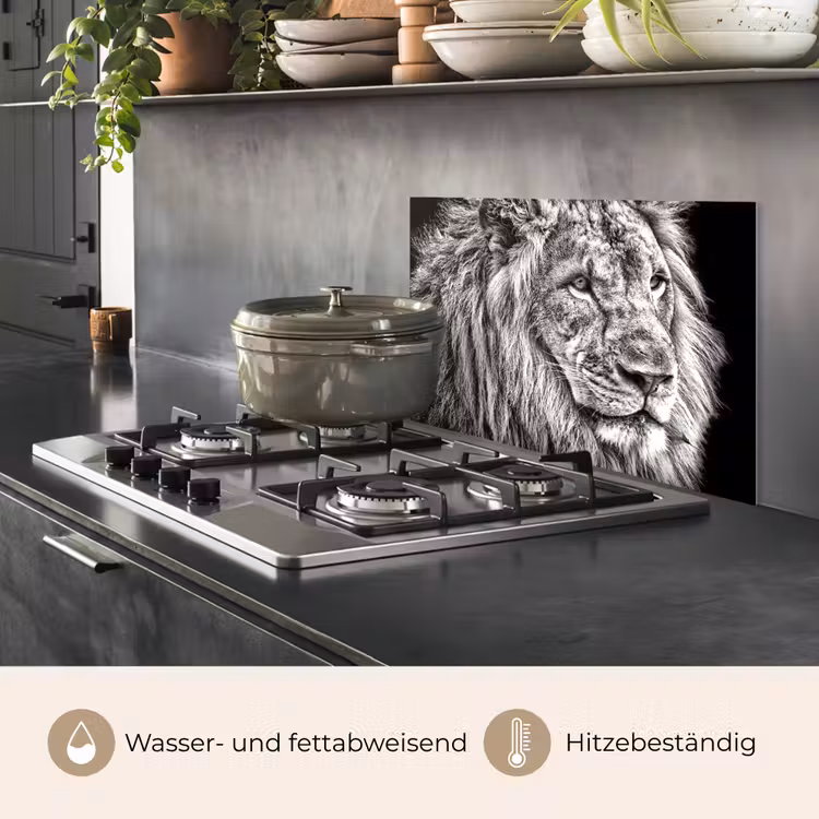 Portret - Leeuw - Zwart wit keuken achterwand spatscherm klein -usp_DE