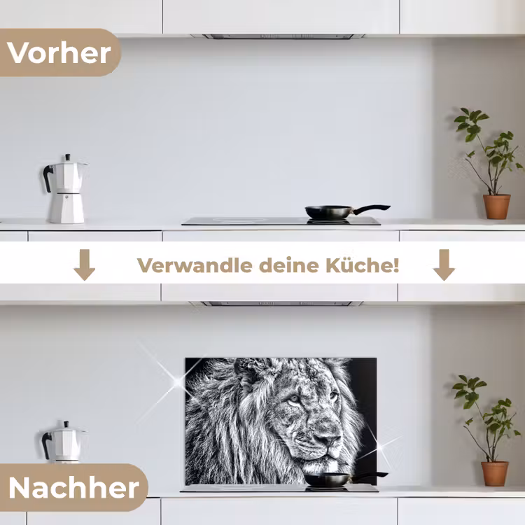 Portret - Leeuw - Zwart wit keuken achterwand spatscherm klein -voor_na_DE