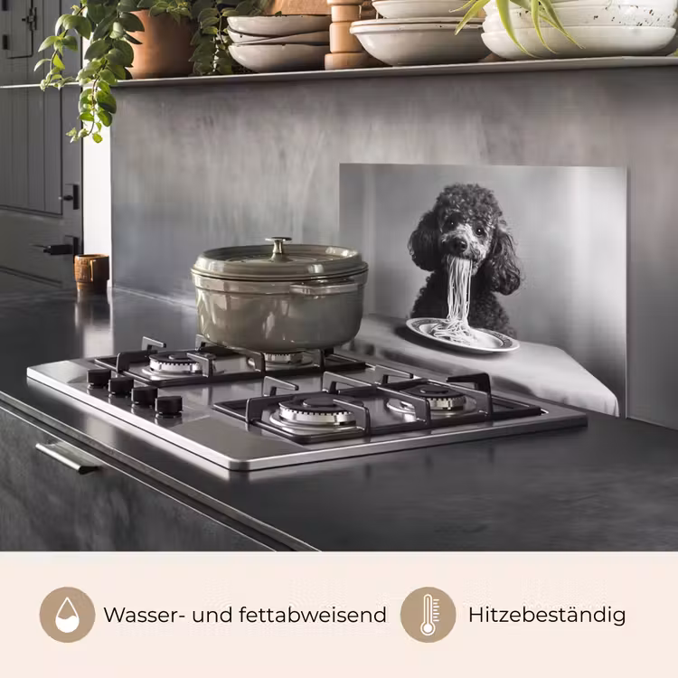 Poedel - Hond - Zwart - Wit - Schattig - Pasta keuken achterwand spatscherm klein -usp_DE