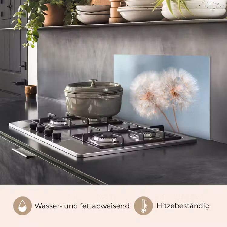 Paardenbloemen - Pluisjes - Wit keuken achterwand spatscherm klein -usp_DE