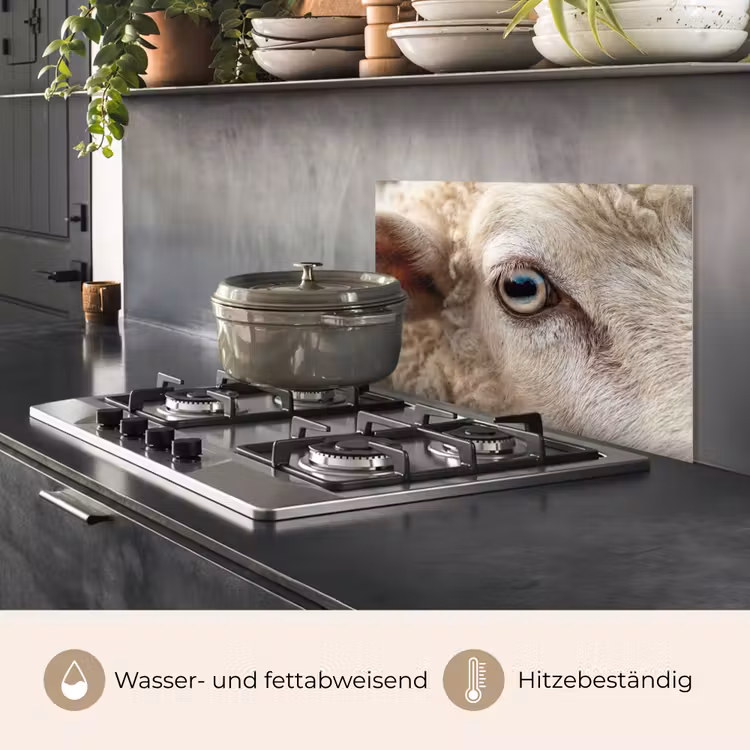 Schaap - Oog - Wit keuken achterwand spatscherm klein -usp_DE