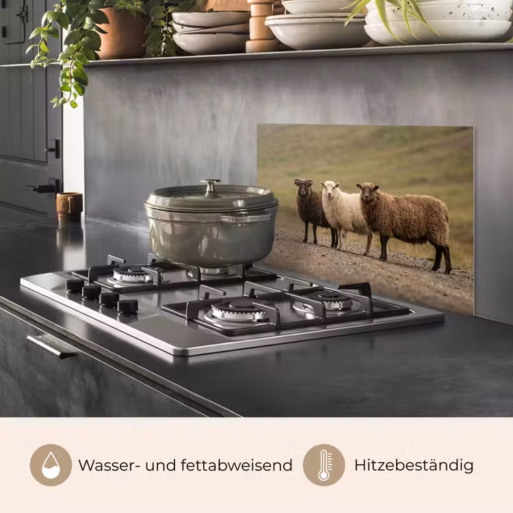 Schapen - Bruin - Wit - Grindpad keuken achterwand spatscherm klein -usp_DE