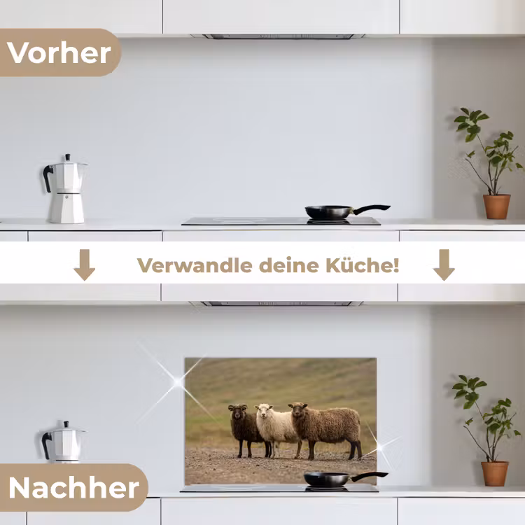 Schapen - Bruin - Wit - Grindpad keuken achterwand spatscherm klein -voor_na_DE