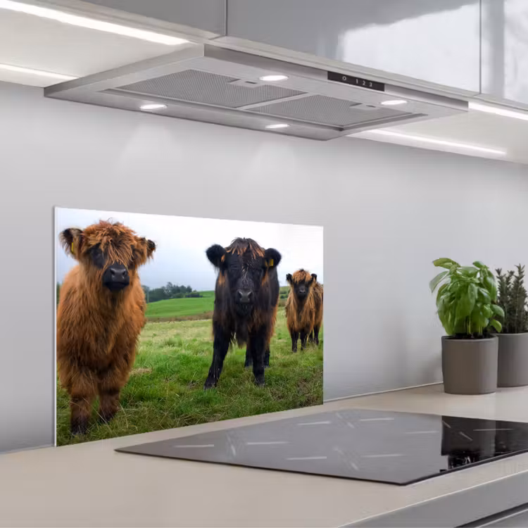 Schotse hooglander - Koeien - Natuur - Groen - Gras keuken achterwand spatscherm klein -3d_schuin