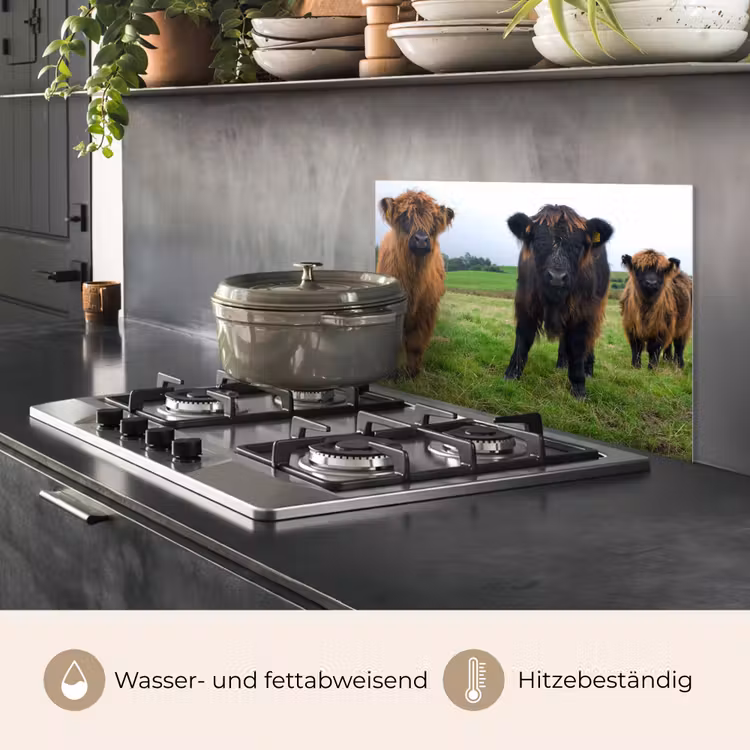 Schotse hooglander - Koeien - Natuur - Groen - Gras keuken achterwand spatscherm klein -usp_DE