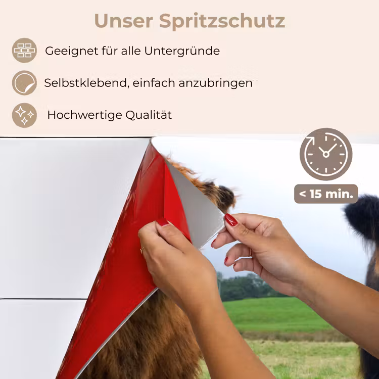 Schotse hooglander - Koeien - Natuur - Groen - Gras keuken achterwand spatscherm klein -spatscherm_DE