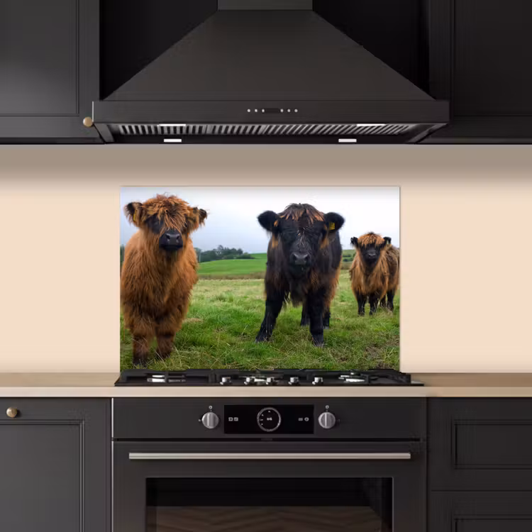 Schotse hooglander - Koeien - Natuur - Groen - Gras keuken achterwand spatscherm klein -sfeer1