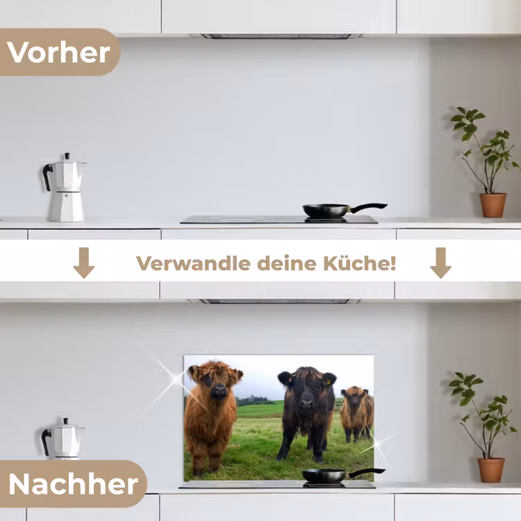 Schotse hooglander - Koeien - Natuur - Groen - Gras keuken achterwand spatscherm klein -voor_na_DE