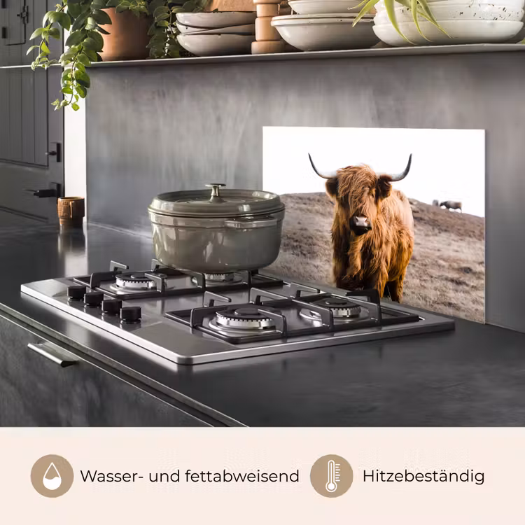 Schotse hooglander - Landschap - Koe - Bruin - Dieren - Natuur keuken achterwand spatscherm klein -usp_DE