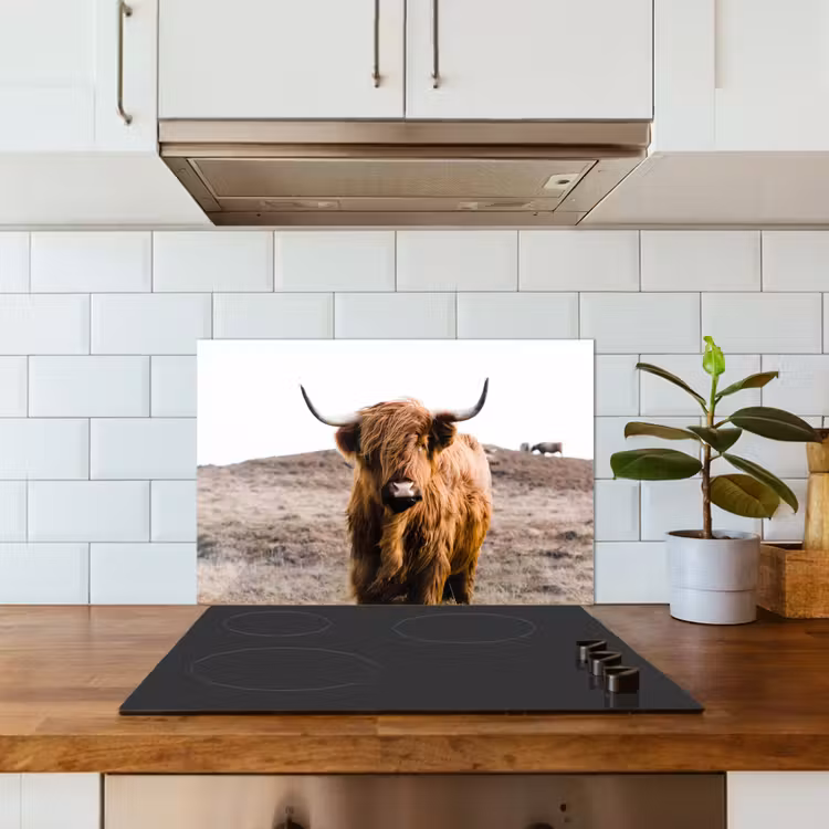 Schotse hooglander - Landschap - Koe - Bruin - Dieren - Natuur keuken achterwand spatscherm klein -sfeer2