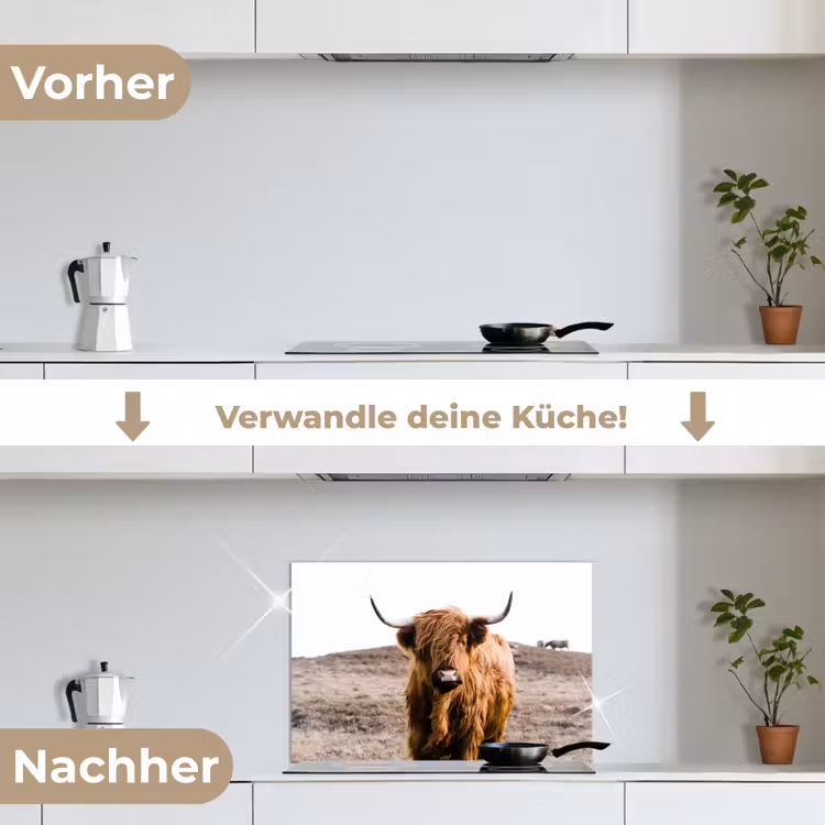 Schotse hooglander - Landschap - Koe - Bruin - Dieren - Natuur keuken achterwand spatscherm klein -voor_na_DE