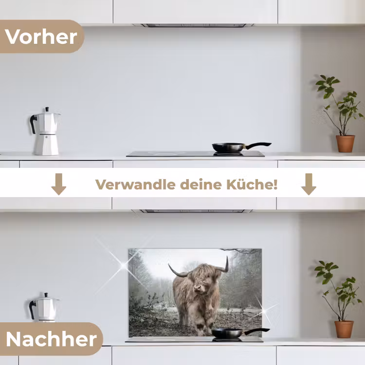 Schotse hooglander - Natuur - Herfst - Dieren - Wild - Bos keuken achterwand spatscherm klein -voor_na_DE