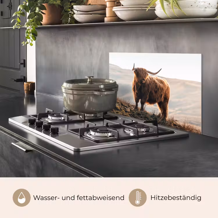 Schotse hooglander - Dieren - Landelijk - Landschap - Koe - Natuur keuken achterwand spatscherm klein -usp_DE