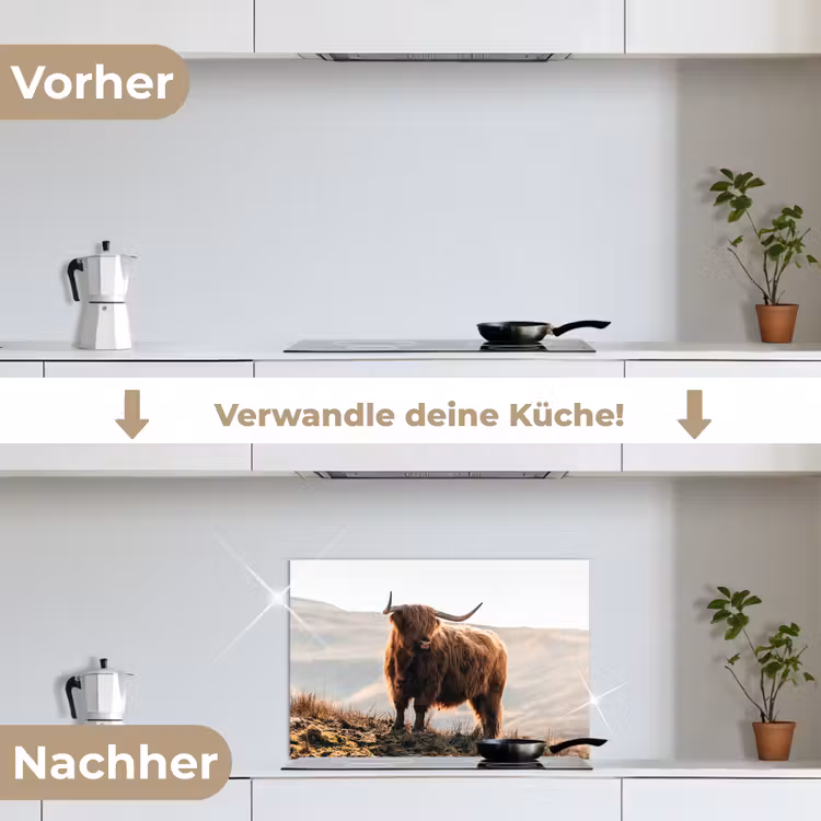 Schotse hooglander - Dieren - Landelijk - Landschap - Koe - Natuur keuken achterwand spatscherm klein -voor_na_DE