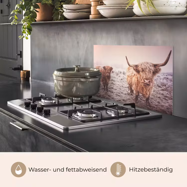 Schotse hooglanders - Licht - Lucht - Natuur keuken achterwand spatscherm klein -usp_DE