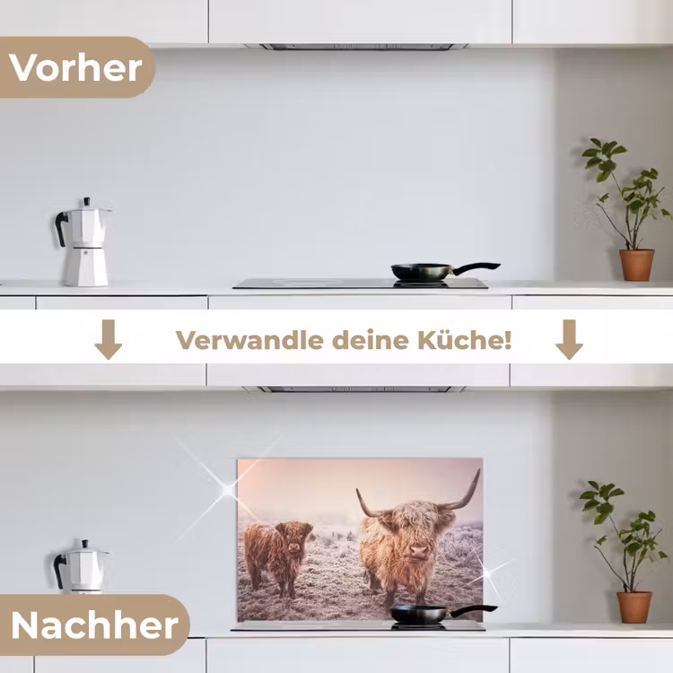 Schotse hooglanders - Licht - Lucht - Natuur keuken achterwand spatscherm klein -voor_na_DE