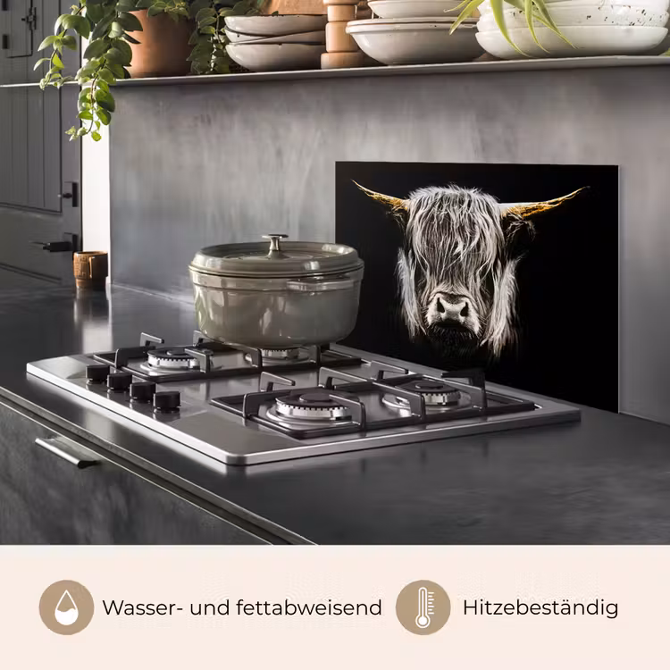 Schotse hooglander - Goud - Hoorns - Zwart wit - Koe - Dieren keuken achterwand spatscherm klein -usp_DE