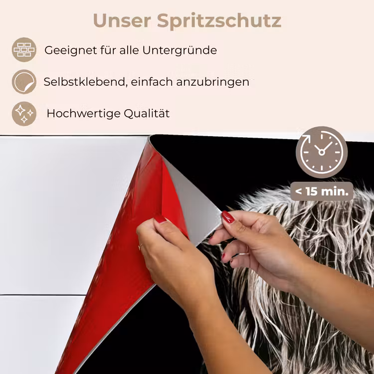 Schotse hooglander - Goud - Hoorns - Zwart wit - Koe - Dieren keuken achterwand spatscherm klein -spatscherm_DE