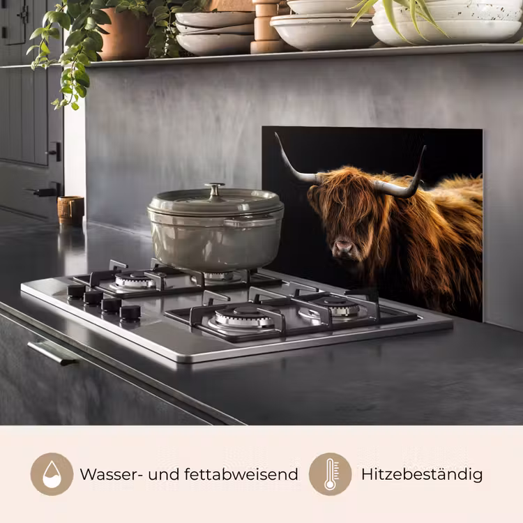 Schotse Hooglander - Horens - Zwart - Dieren - Natuur - Wild - Koe keuken achterwand spatscherm klein -usp_DE