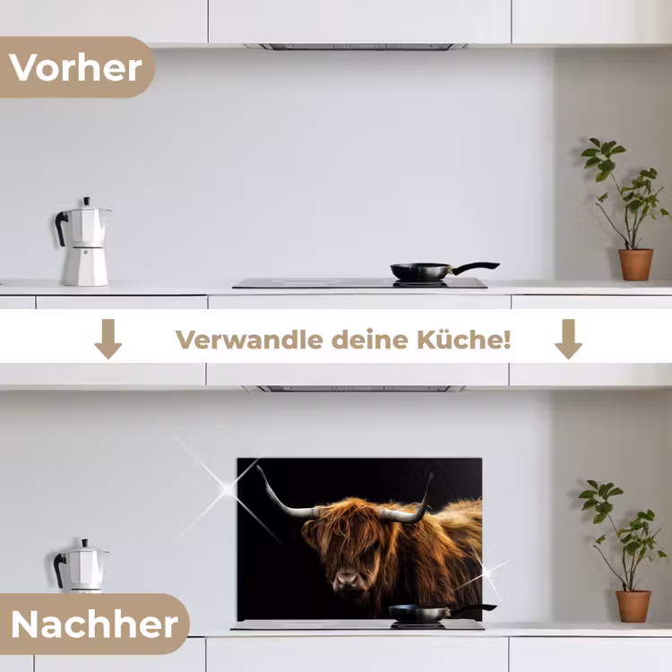 Schotse Hooglander - Horens - Zwart - Dieren - Natuur - Wild - Koe keuken achterwand spatscherm klein -voor_na_DE