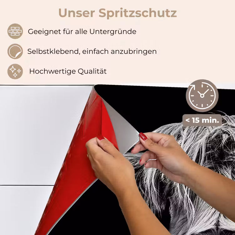 Schotse Hooglander - Horens - Zwart - Wit - Koe - Wild - Dieren keuken achterwand spatscherm klein -spatscherm_DE