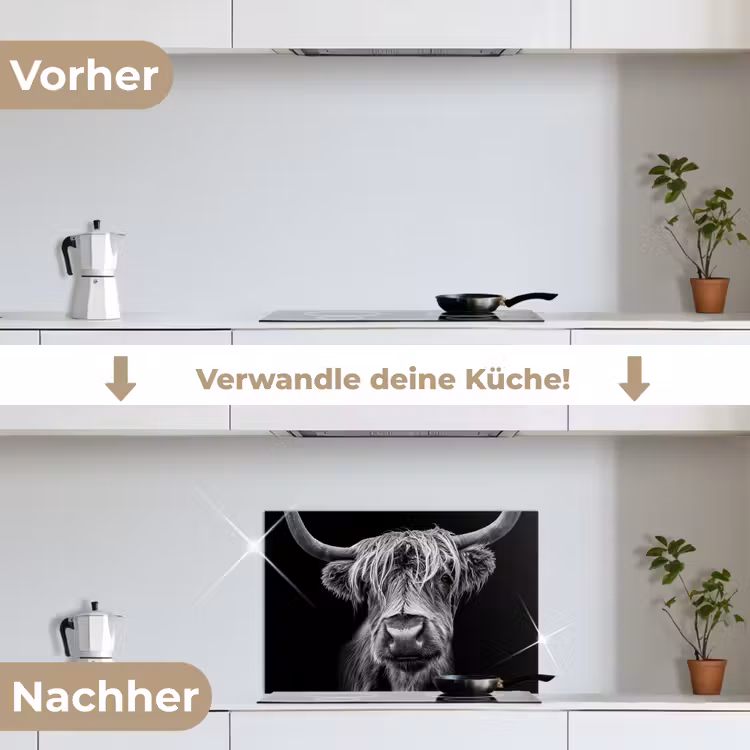 Schotse Hooglander - Horens - Zwart - Wit - Koe - Wild - Dieren keuken achterwand spatscherm klein -voor_na_DE