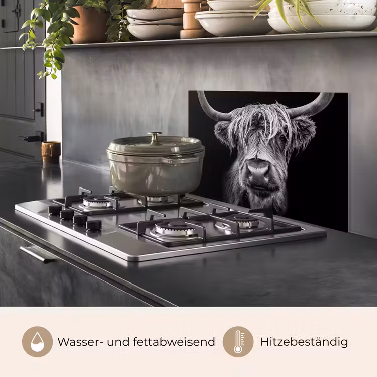 Schotse Hooglander - Horens - Zwart - Wit - Koe - Wild - Dieren keuken achterwand spatscherm klein -usp_DE